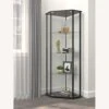 Other Curio Cabinet In Black Wood Finish W/ Glass Door