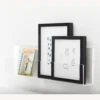 Pottery Barn Acrylic Modern Wall Shelf