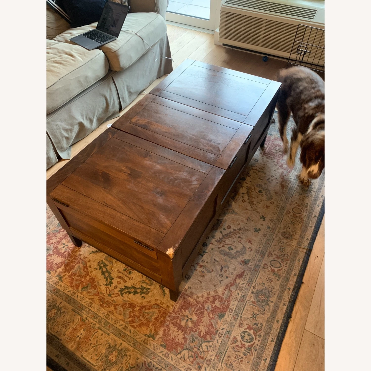 Crate & Barrel Tucker Trunk/ Coffee Table 6 Crate & Barrel Tucker Trunk/ Coffee Table - Image 6