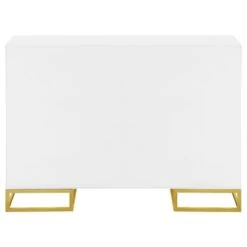 Other Modern Accent Cabinet In White & Gold Design Finish -Othee Home Shop 1500 1500 frame 0 90